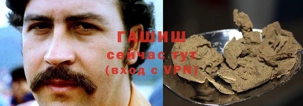 гашик Няндома