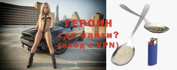 гашик Няндома