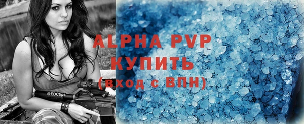 гашик Няндома