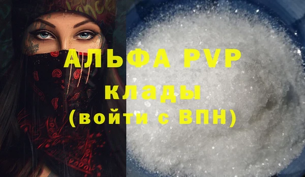 гашик Няндома