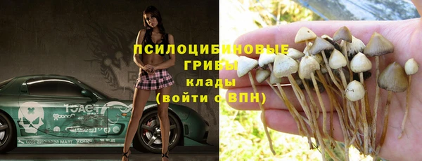 стафф Нязепетровск