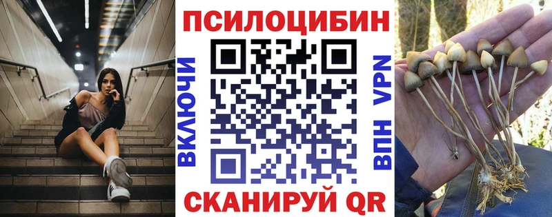 KRAKEN ССЫЛКА  Казань  Псилоцибиновые грибы прущие грибы 